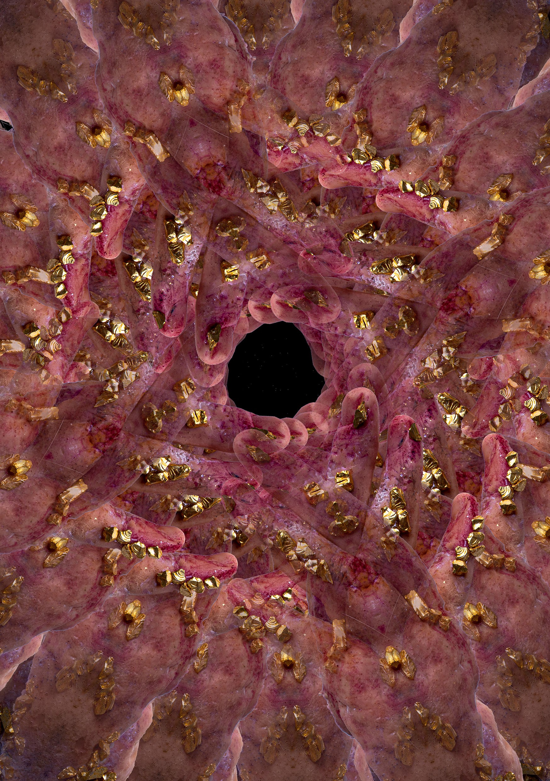 Video Snippets from visual works