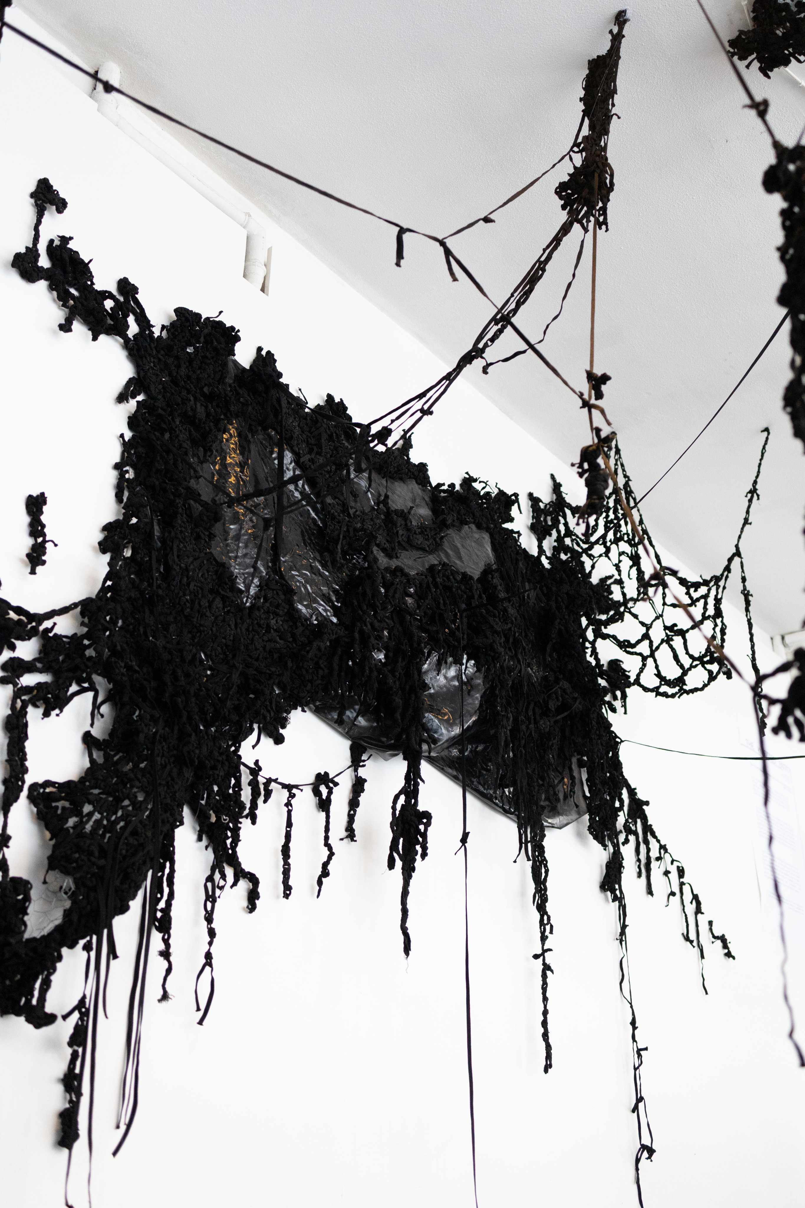 Cut side view of the inner system of a shell